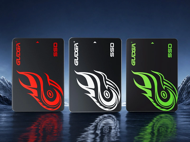 2.5 SSD SSD